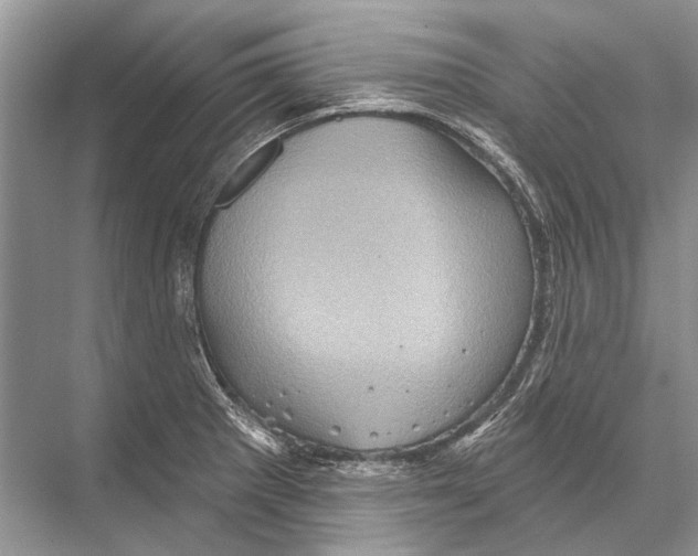 X0000067841281200605041640