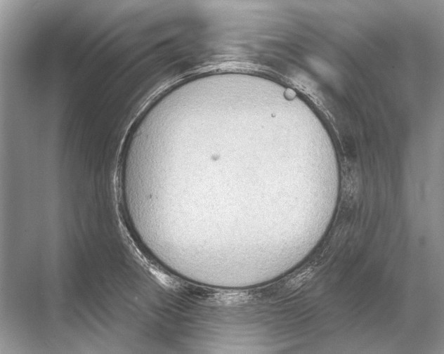 X0000067841282200605041640