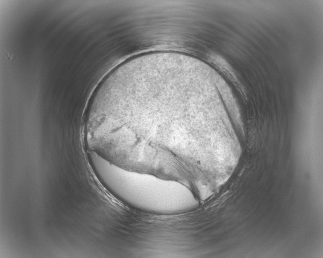 X0000067841284200605041640