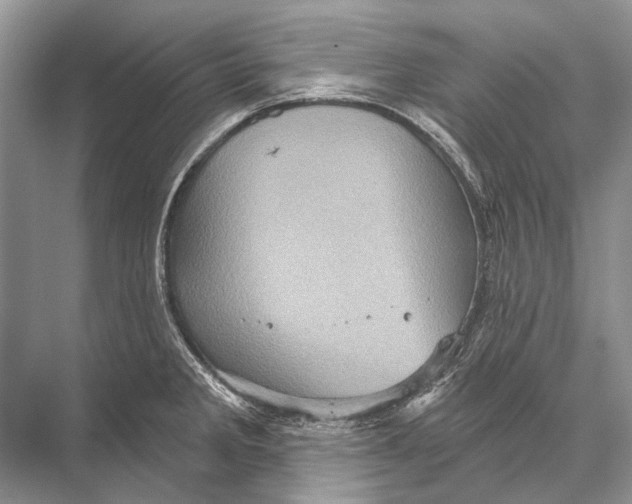 X0000067841285200605041640