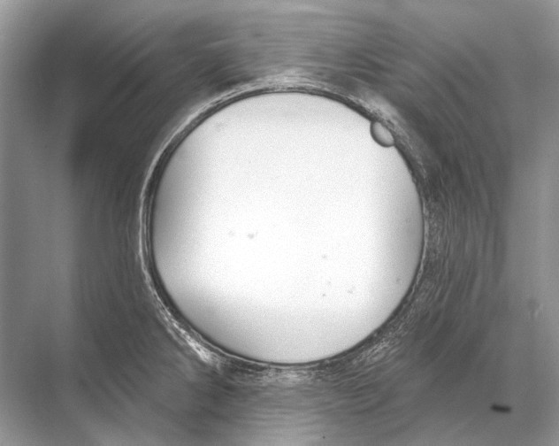 X0000067841286200605041640