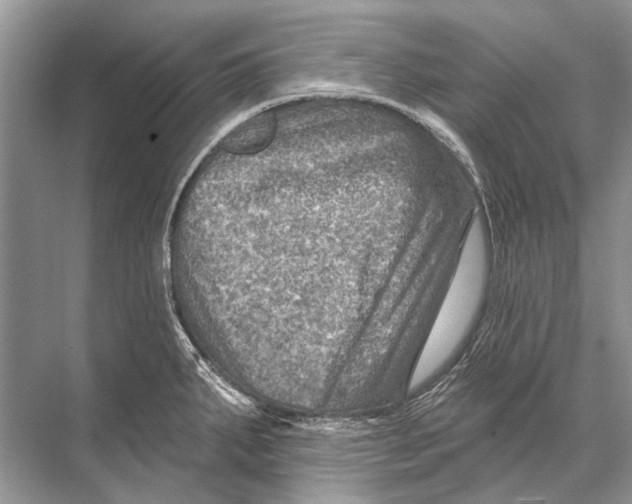 X0000067841287200605041640