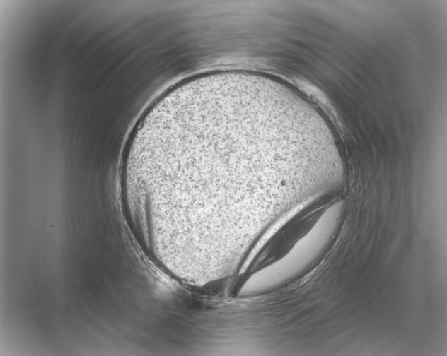 X0000067841288200605041640