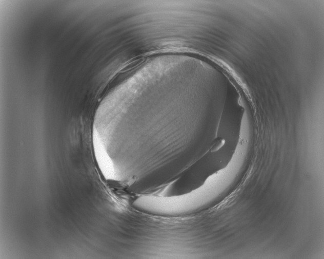 X0000067841289200605041640