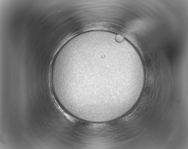 X0000067841290200605041640