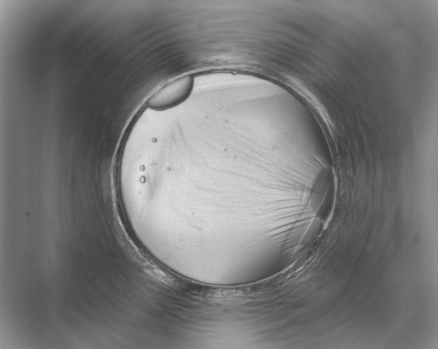 X0000067841291200605041640