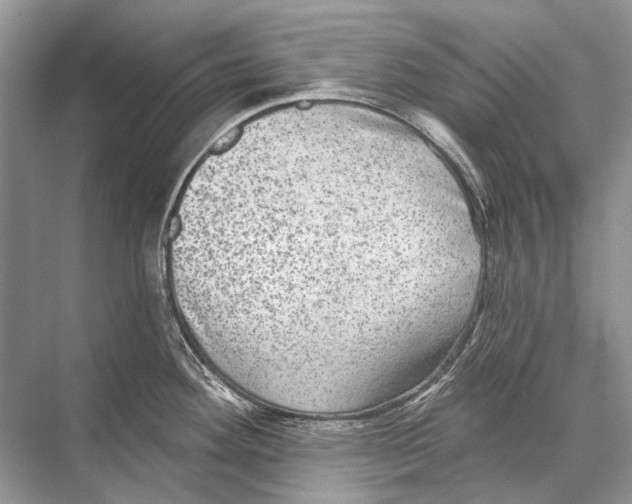 X0000067841292200605041640