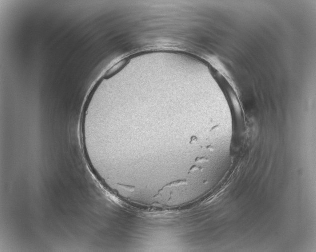 X0000067841293200605041640