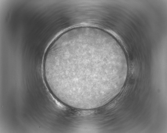 X0000067841294200605041639