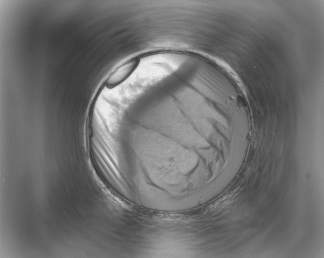 X0000067841295200605041639