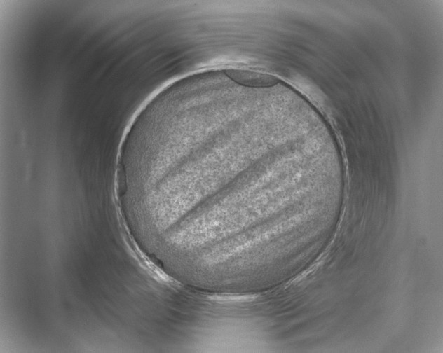 X0000067841296200605041639