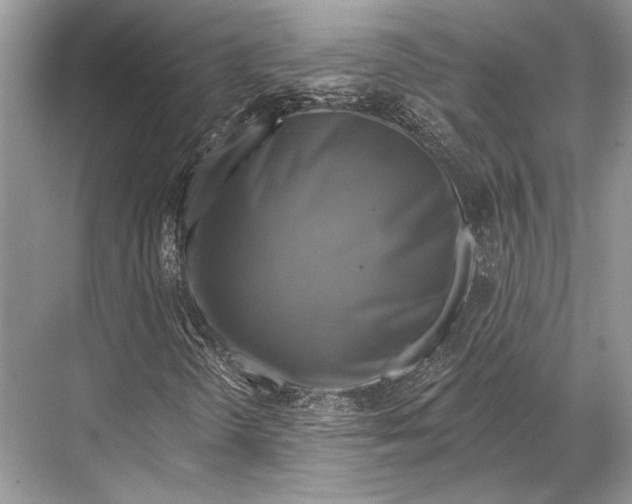 X0000067841298200605041639