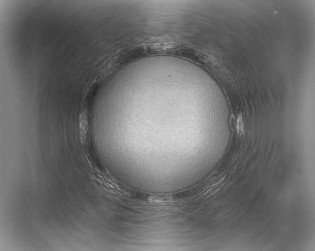 X0000067841299200605041639