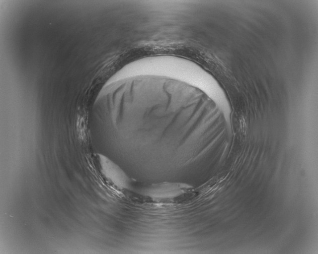 X0000067841300200605041639