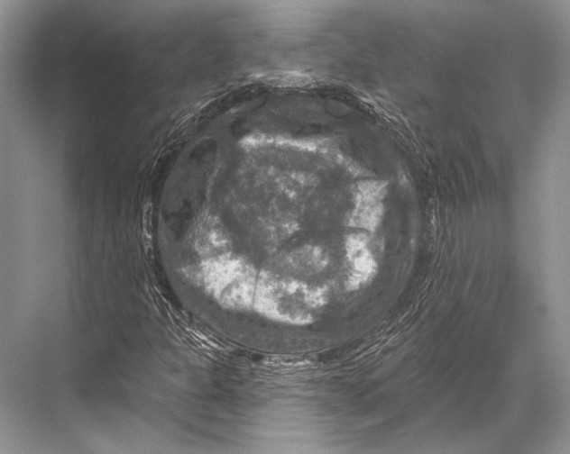 X0000067841301200605041639