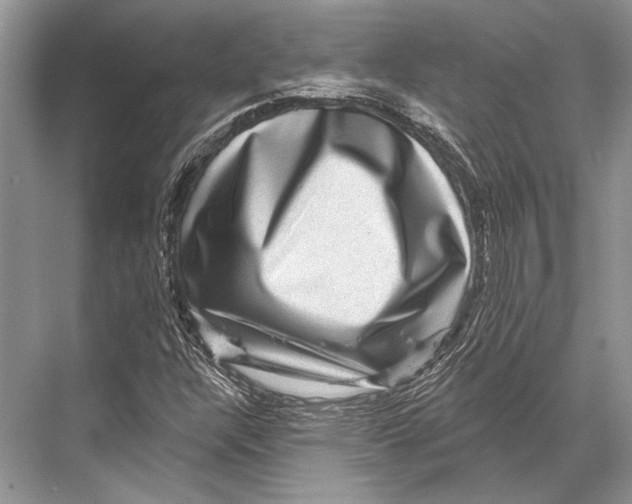 X0000067841304200605041639