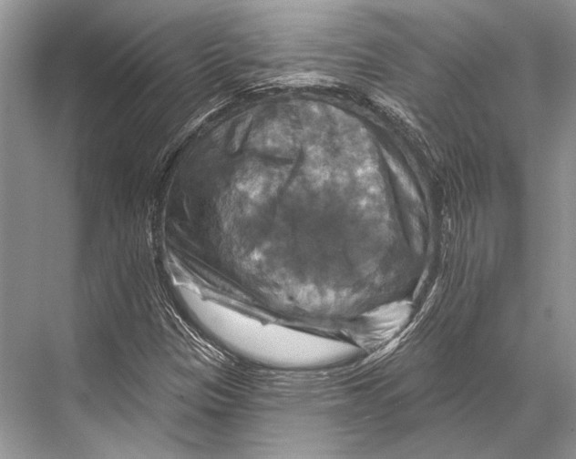 X0000067841305200605041639