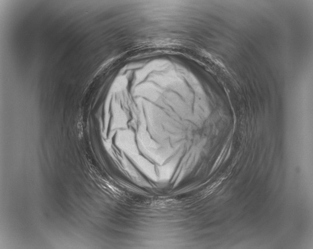 X0000067841306200605041639