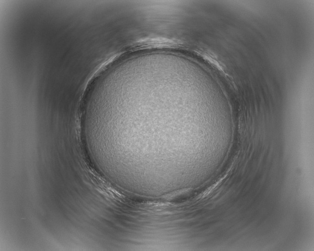 X0000067841309200605041639