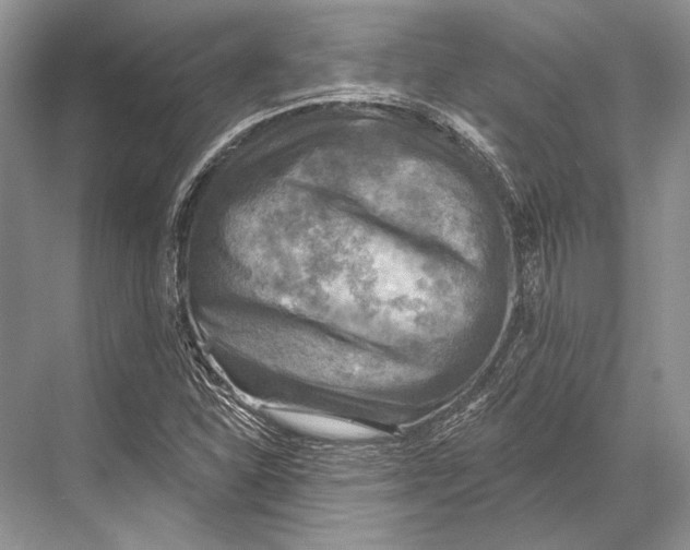 X0000067841310200605041639