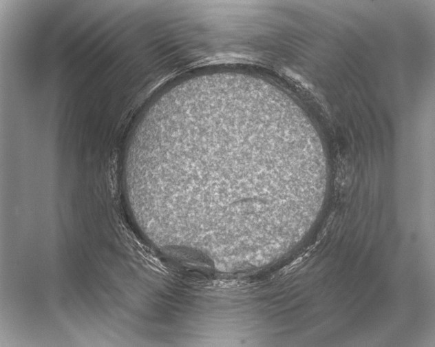 X0000067841313200605041639