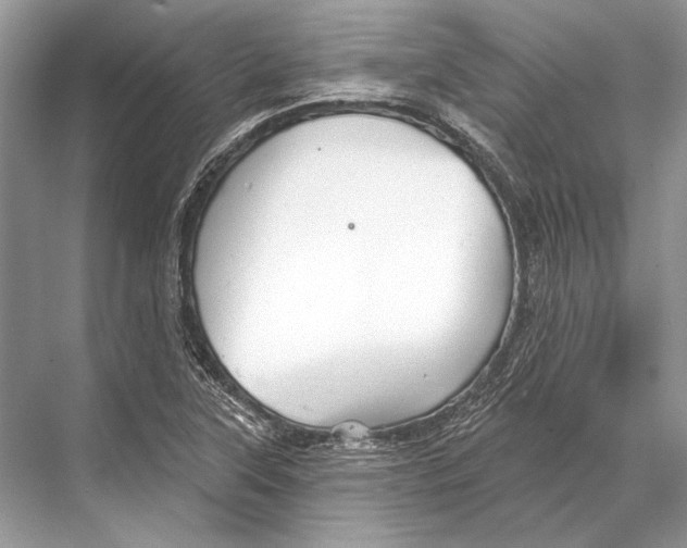 X0000067841315200605041639