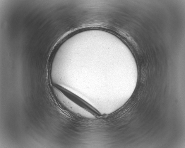 X0000067841316200605041639