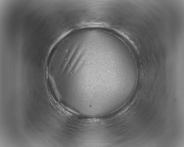 X0000067841317200605041639