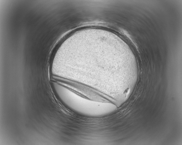 X0000067841320200605041639