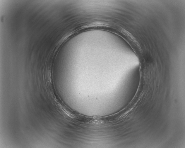 X0000067841321200605041639