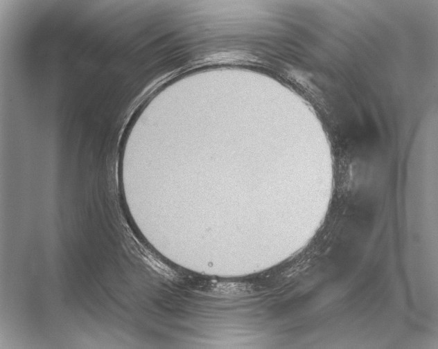 X0000067841322200605041639