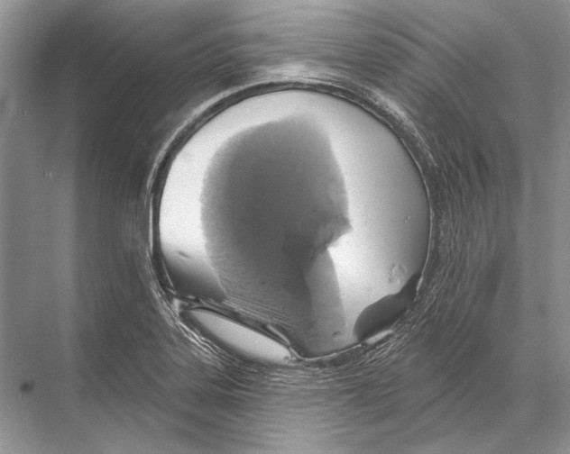 X0000067841323200605041639