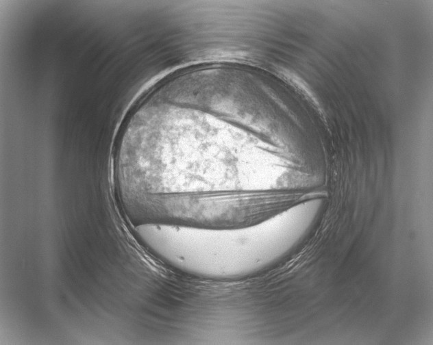 X0000067841324200605041639