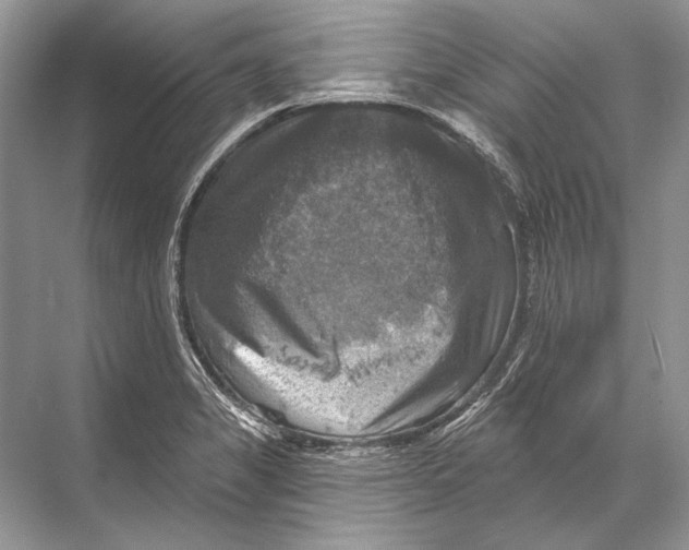 X0000067841325200605041639