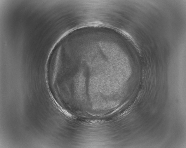 X0000067841326200605041639