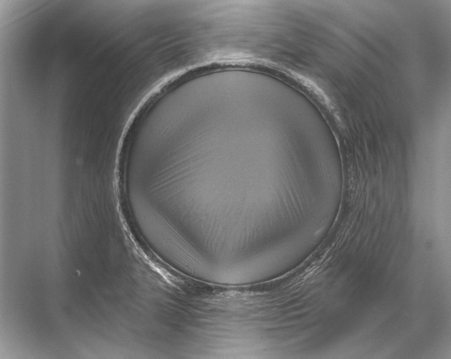 X0000067841327200605041639