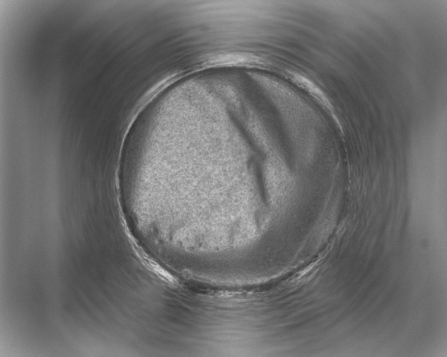 X0000067841330200605041639