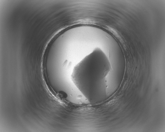 X0000067841331200605041639