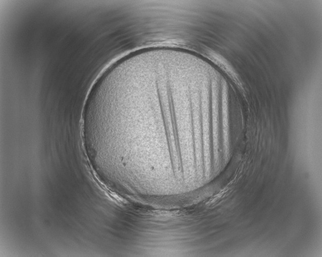 X0000067841332200605041639