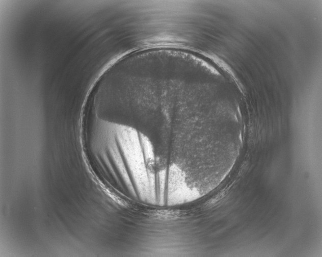 X0000067841333200605041639