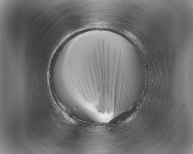 X0000067841334200605041639