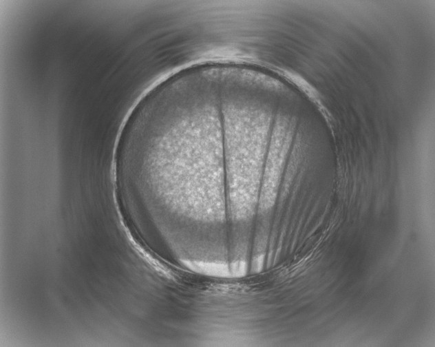 X0000067841335200605041639