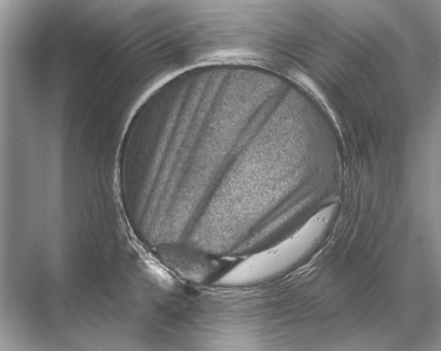 X0000067841336200605041639