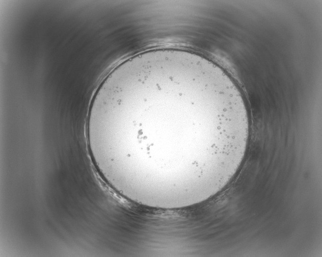 X0000067841338200605041639