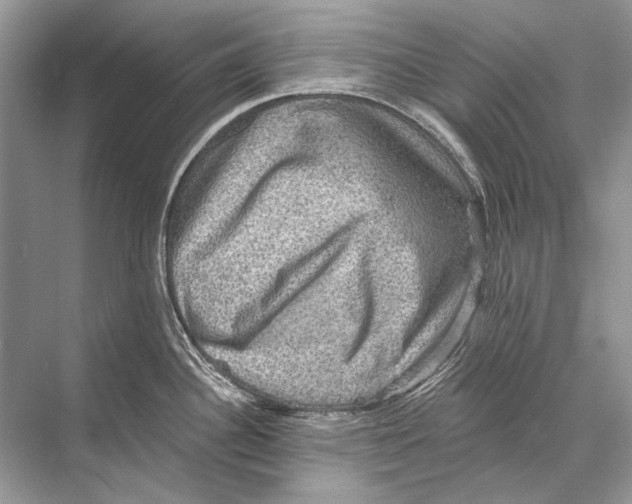 X0000067841340200605041639