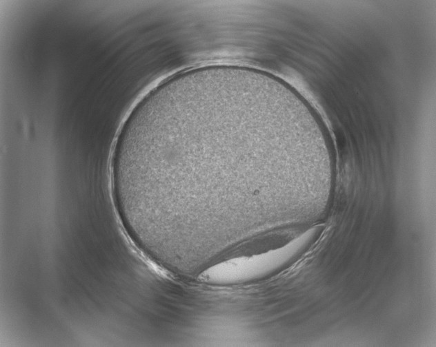 X0000067841341200605041639