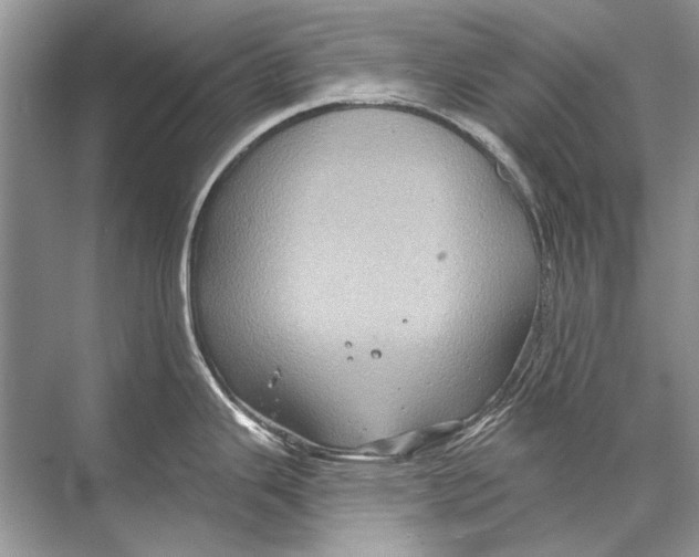 X0000067841343200605041639