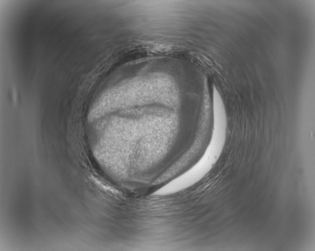 X0000067841345200605041639