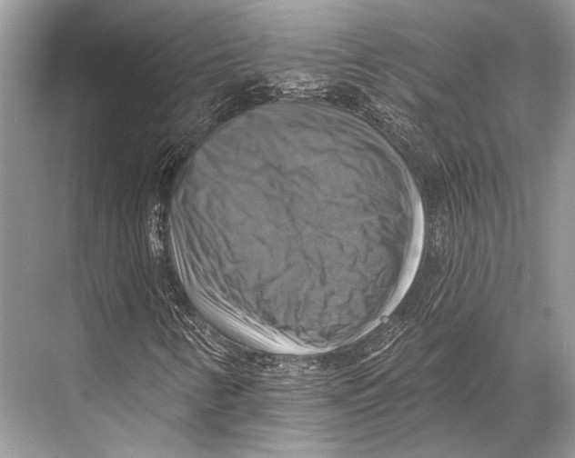 X0000067841346200605041639