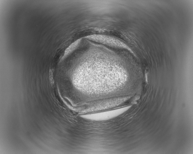 X0000067841347200605041639